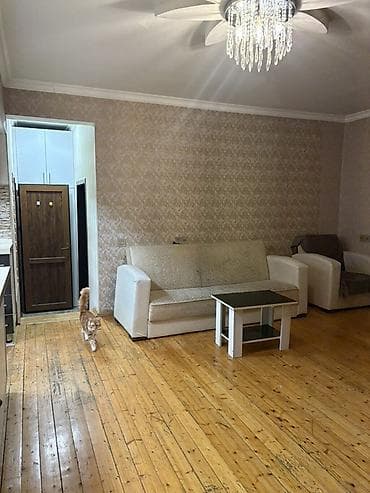 1 otaqli kiraye: 2 otaqlı mənzil – açıq mətbəxli geniş zal - Plan: zal + açıq mətbəx — 2