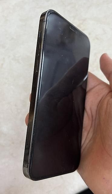 IPhone 12 Pro, Graphite