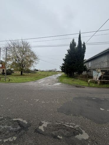 bina.az otaq yoldasi: 6 sot — 1