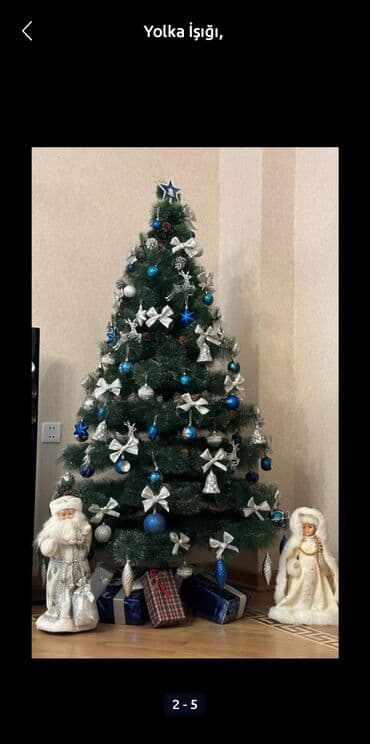 innab agaci: Yeni il ağacları — 1