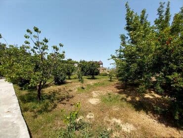 ramanada evler: Bakı, Novxanı, 230 kv. m, 6 otaqlı, Hovuzlu, Kanalizasiya, Qaz, Su — 15