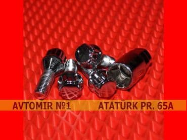Blokirovka ucun teker boltlari n8 🚙🚒 ünvana və bölgələrə ödənişli