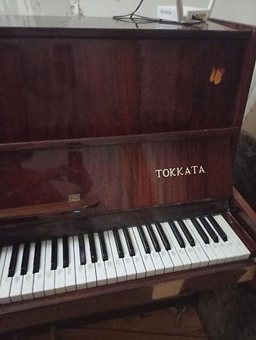 Musiqi alətləri: Piano, Akustik — 3
