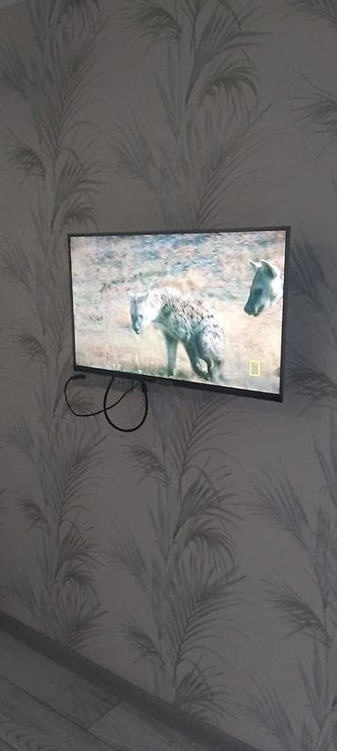 torpaqdan ev: Bakı şəhərində 2 otaqlı günlük kirayə ev Mənzil tam təmirlidir, təmiz — 8