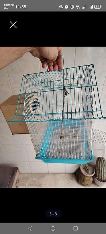 Quşlar: Quş qəfəsi – orta ölçülü, ev şəraitində saxlanılan xırda quşlar üçün — 2