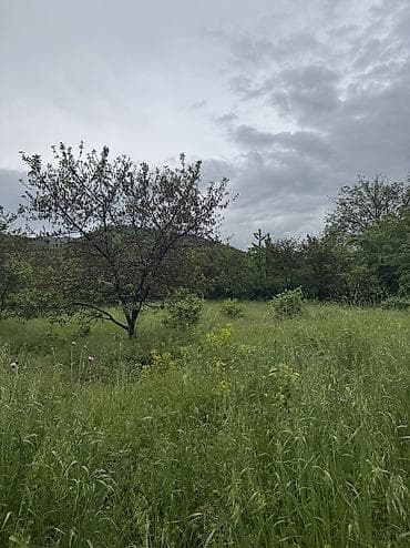 1 otaqlı ev: 80 sot, Kənd təsərrüfatı, Mülkiyyətçi, Kupça (Çıxarış), Bələdiyyə — 10