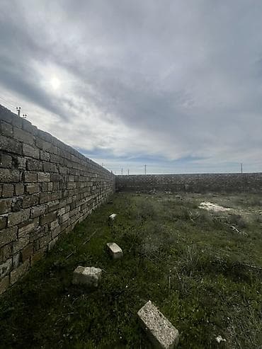 61 sot, Biznes üçün — 8