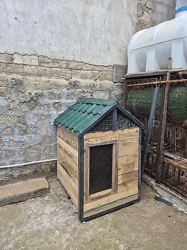 golden iti: Taxta it evi / volyer - Material: qalın taxta lövhələr və möhkəm — 1