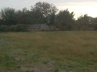 24 sot, Tikinti, Mülkiyyətçi, Texniki pasport