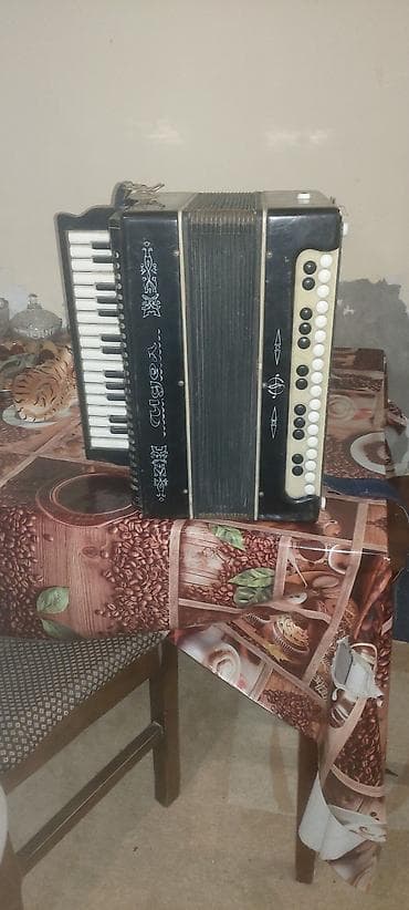 Musiqi alətləri: Akustik Akkordeon — 4