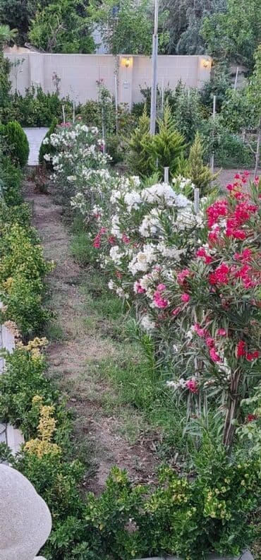 evlər bakı: Novxanı 6 otaqlı, 260 kv. m, Yeni təmirli — 25