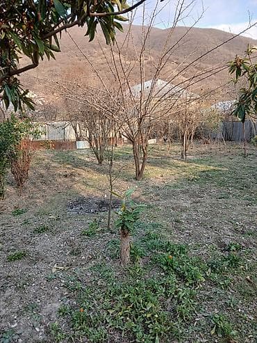 долгосрочная аренда земли: Biznes üçün, Qaz, İşıq, Su — 3