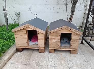 Pişik evi satılır
1 i qalıb 45 AZN satilir