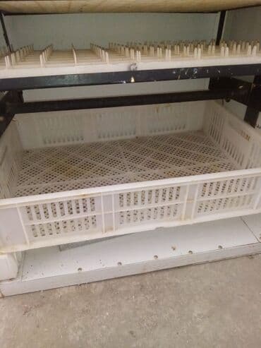 Soyuducu avadanlığı: Generator hediyye verilir!!!Toyuq ucun yalniz 528 yumurta real alici — 7