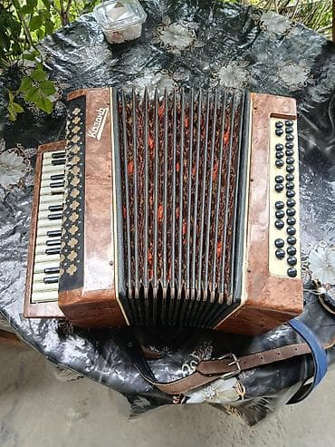 rus dili lüğət dəftəri: Akustik Akkordeon — 3