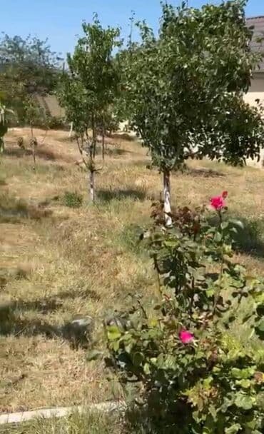 дом в баку купить: Баку, Новханы, 360 м², 6 комнат, С бассейном, Комби, Водопровод, Телефон — 5