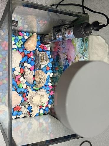 Akvariumlar: Dördbucaq akvarium, Boş, 15 l — 2