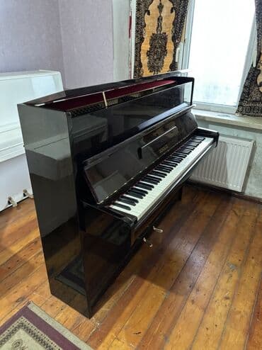 hədəf azərbaycan dili qayda kitabı qiyməti: Piano, Petrof, Akustik, Yeni, Pulsuz çatdırılma — 13
