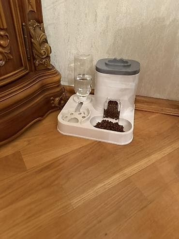 ev itiləri: Boz rəngli balaca pişik üçün tam dəst aksesuarlar Paketə daxildir: - — 5