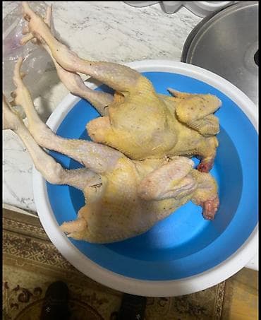 ordək əti: Kənd toyuğu Chicken Bütöv, Pərakəndə — 2