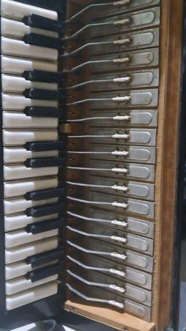 познание мира 2 класс мсо 8: Акустический Аккордеон — 2