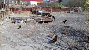 agdasda torpaq satilir teze: 7 sot, Mülkiyyətçi, Kupça (Çıxarış) — 5
