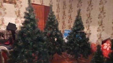 turski cajnik cena: Hündürlük 1.8 yolkalar .Endirimli 55 Azn.bu qiymete bu ucaliqda yolka — 2