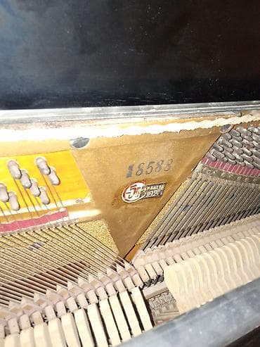 gitara akustik: Piano, Akustik — 7