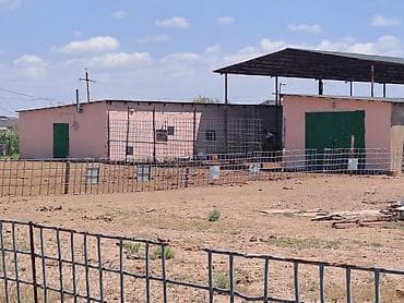 qebele: Haciqabulda ferma satılır.15 hektar.350kv.tikili.kənd tədərrüfatı — 4