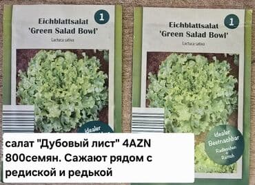 qara xardal toxumu harda satilir: "Middleman" sortlu təzə soğan toxumu. Müxtəlif rəngarıng kahı növləri — 2