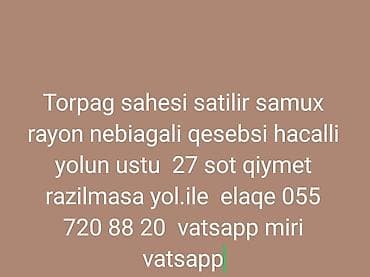Tikinti, Mülkiyyətçi