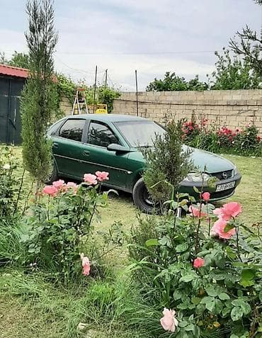 cobalt benzin nasos: Opel Vectra: 2 л | 1996 г. 123322333 км Седан — 3