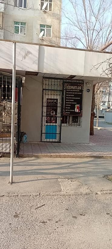 sari saç: Qadın saç ustaları | Saç kəsimi — 2