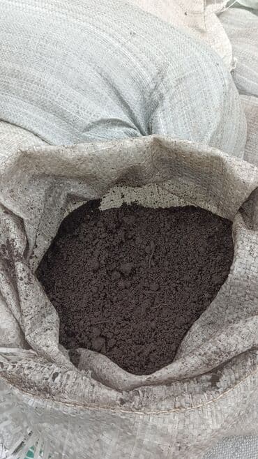 1 eded qizil gul qiymeti: Torf gubresinn satişi torf balaken 2.50 300den cox alana catrlma — 12