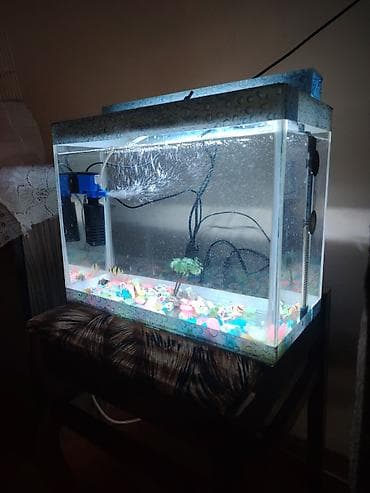 Akvariumlar: Akvaryum led isiq su qizdirici hava veren dekor 5 eded arginal — 3