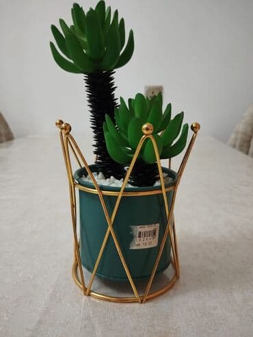 Nənnilər: Suviner hün 25 sm təzədir — 2