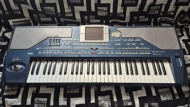pax3 korg: Korg Pa80 aranjor klaviatura - 61 klaviş, dinamik toxunuşa həssas - — 4