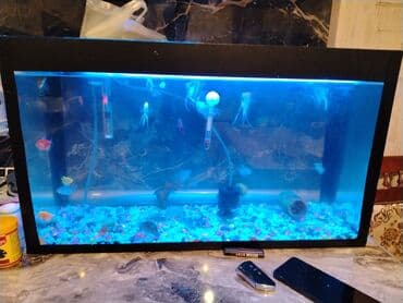 Akvaryum dəsti – tam işlək komplekt - Şüşə akvarium, düzbucaqlı