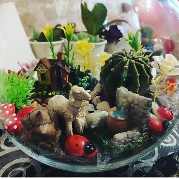 akvaryum baligi: Yumru akvarium, 13 l — 3