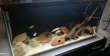 сколько стоит аквариум: Пустой, 96 л, Самовывоз, Платная доставка — 4