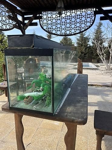 akvariu: Böyük ölçülü şüşə akvarium komplekti 180x50x40.Su tutumu 360 litr Tam — 2