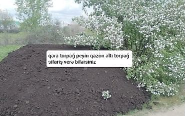 topaq: 070-915-99-05 - Meşə torpağı, qara torpaq və qazon altı torpaq. - — 3