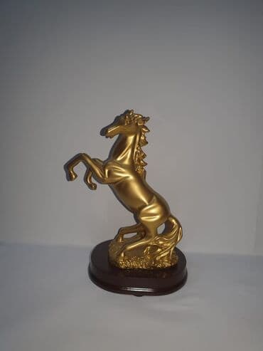 at sekilleri cekmek: Fiqur, Rezin — 15