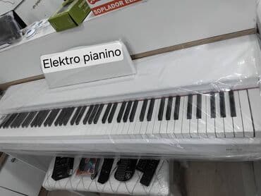 midi klaviş: Синтезатор, Новый, Бесплатная доставка — 2