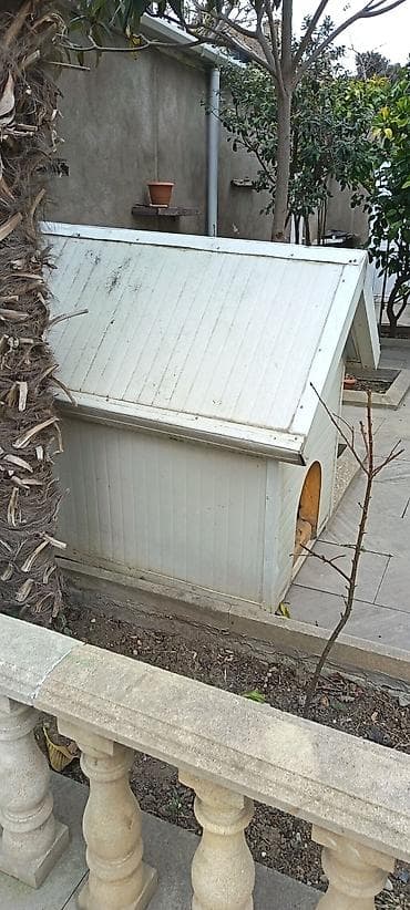 sahibsiz itler: İt evi – açıq havada istifadə üçün - Material: möhkəm taxta karkas — 3