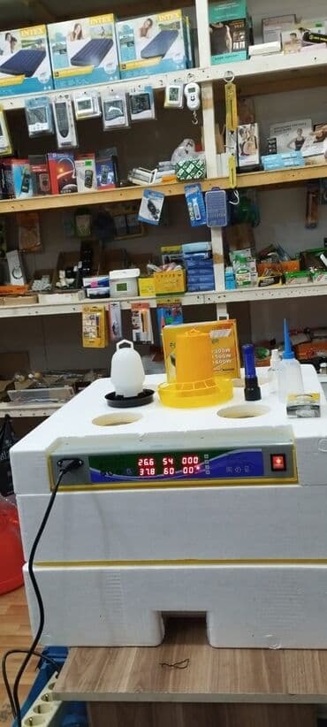 sud şağan aparat: Inkubatorlarin birinci əl satişi unversal inkubator inkubator 196 — 4