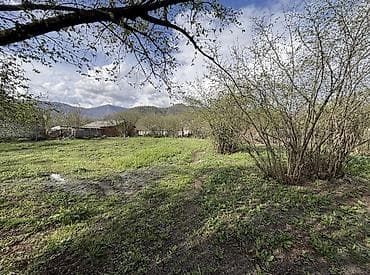 bilgeh ev satilir: Tikinti, Mülkiyyətçi, Kupça (Çıxarış) — 1