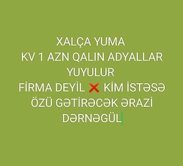 Xalçaların yuyulması | Xalçalar, Palaz Ödənişli çatdırılma