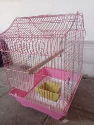 amerika devequsu haqqinda melumat: Valnisti, karella və amadin üçün qəfəs. Real alıcı buyurub əlaqə — 3