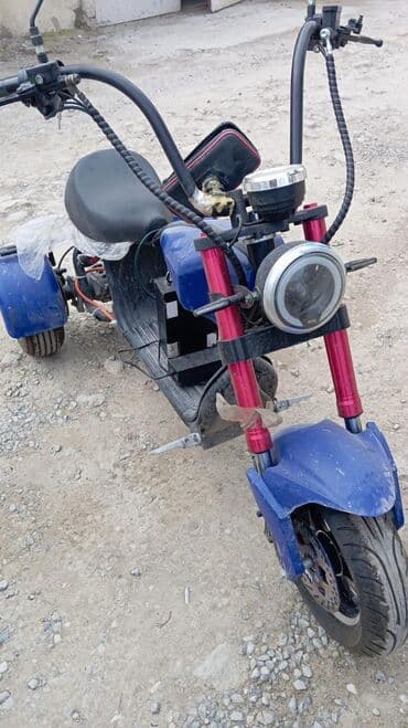 mataskl: - MINGO, 50 sm3, 2024 il, 52 km — 3